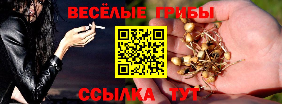 Псилоцибиновые грибы Psilocybine cubensis  Вход с VPN  Строитель 